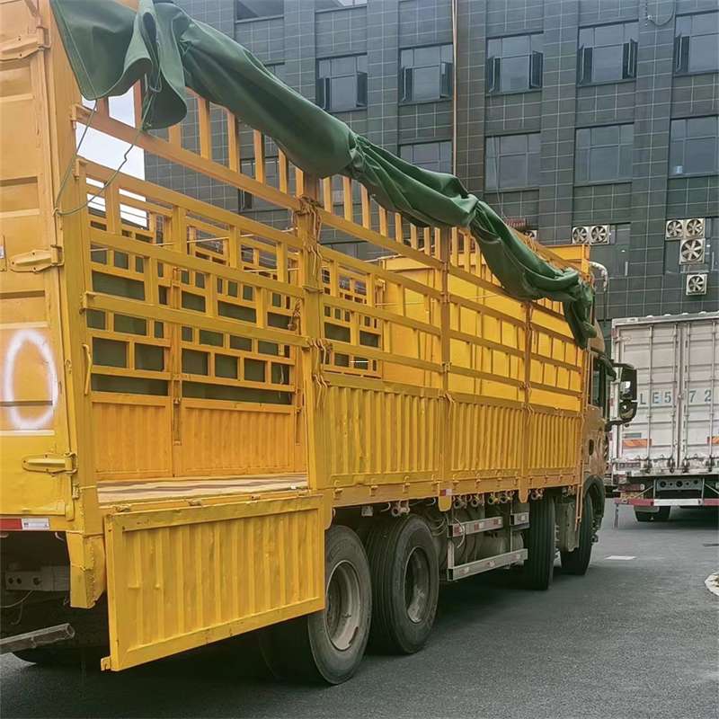 大丰区吉安市物流：多元服务与高效运输线路探秘